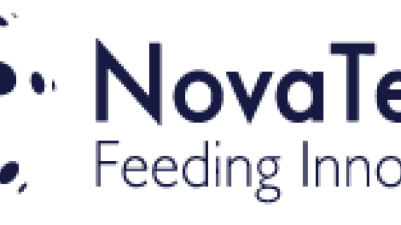Nova team