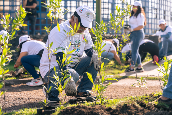 Reforestación Xochimilco