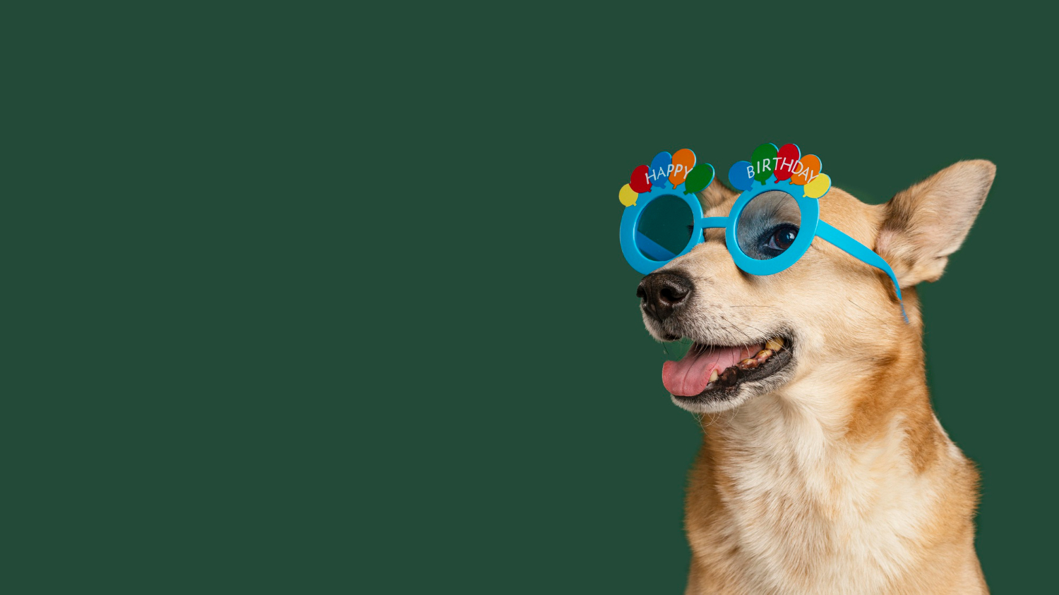 Cortesía 