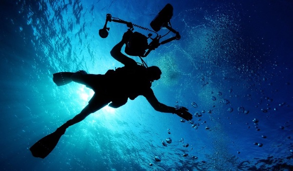 Buceo en Playa del Carmen: todo lo que debes saber