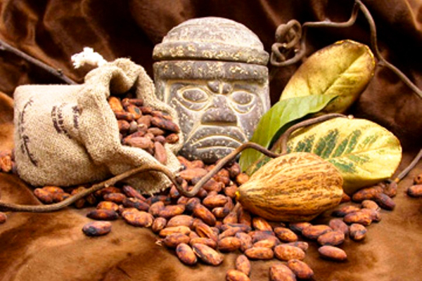 Cacao