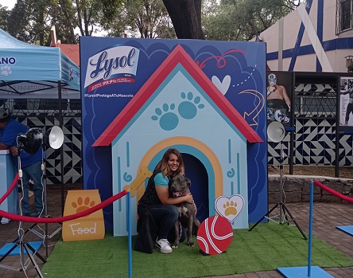 Lysol estrena producto para desinfectar entornos de mascotas