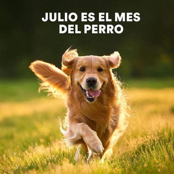 Cortesía 