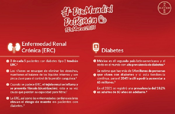 Bayer lanza nueva molécula para el tratamiento de la enfermedad renal