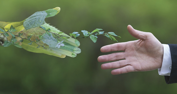 Compromiso con el planeta, reduciendo su huella de carbono en un 30%