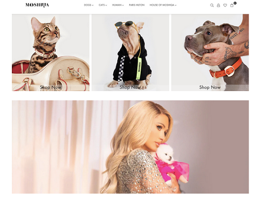 Colección Pet-A-Porter