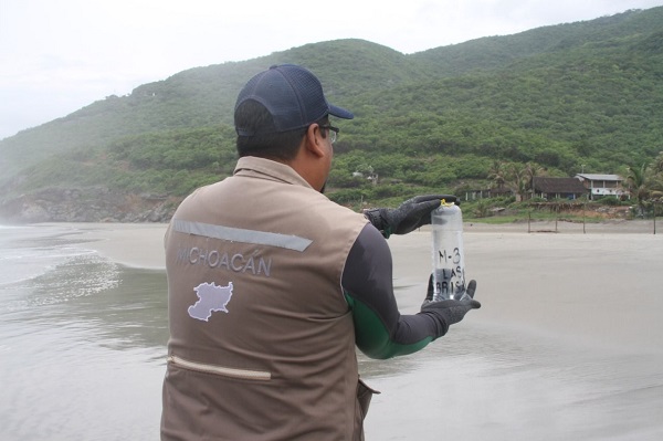 Playas del país son aptas para uso recreativo durante este verano: Cofepris