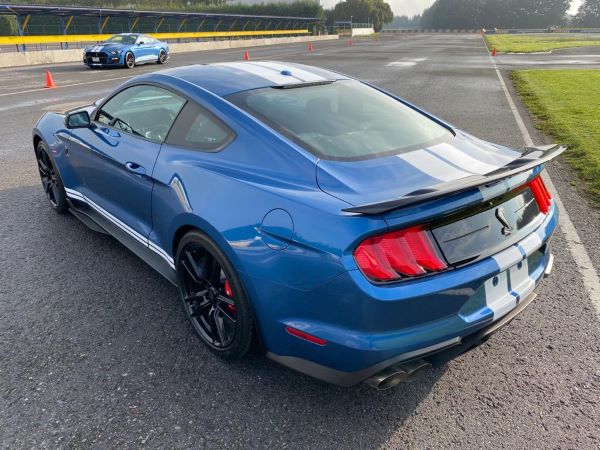 Shelby GT 500