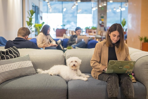 Redefiniendo los modelos de trabajo en Latinoamérica”, estudio de We Work