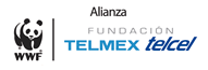 alianza WWW y Telmex
