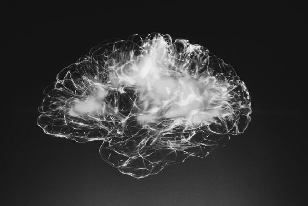 Un cerebro formado formado por conexiones eléctricas