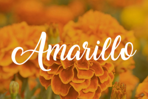 Amarillo