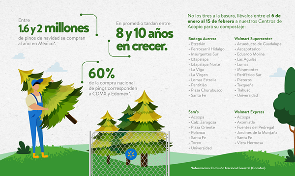 Walmart de México y Centroamérica recibirá árboles naturales de Navidad para reciclaje en 35 tiendas de CDMX