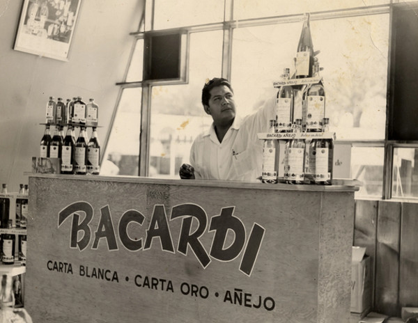 Bacardi