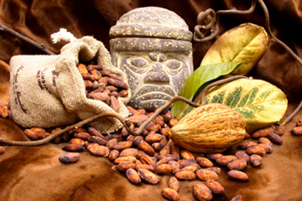 Cacao