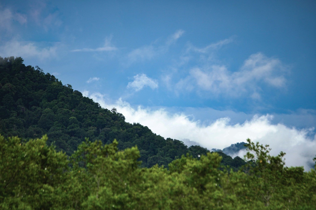 Colombia