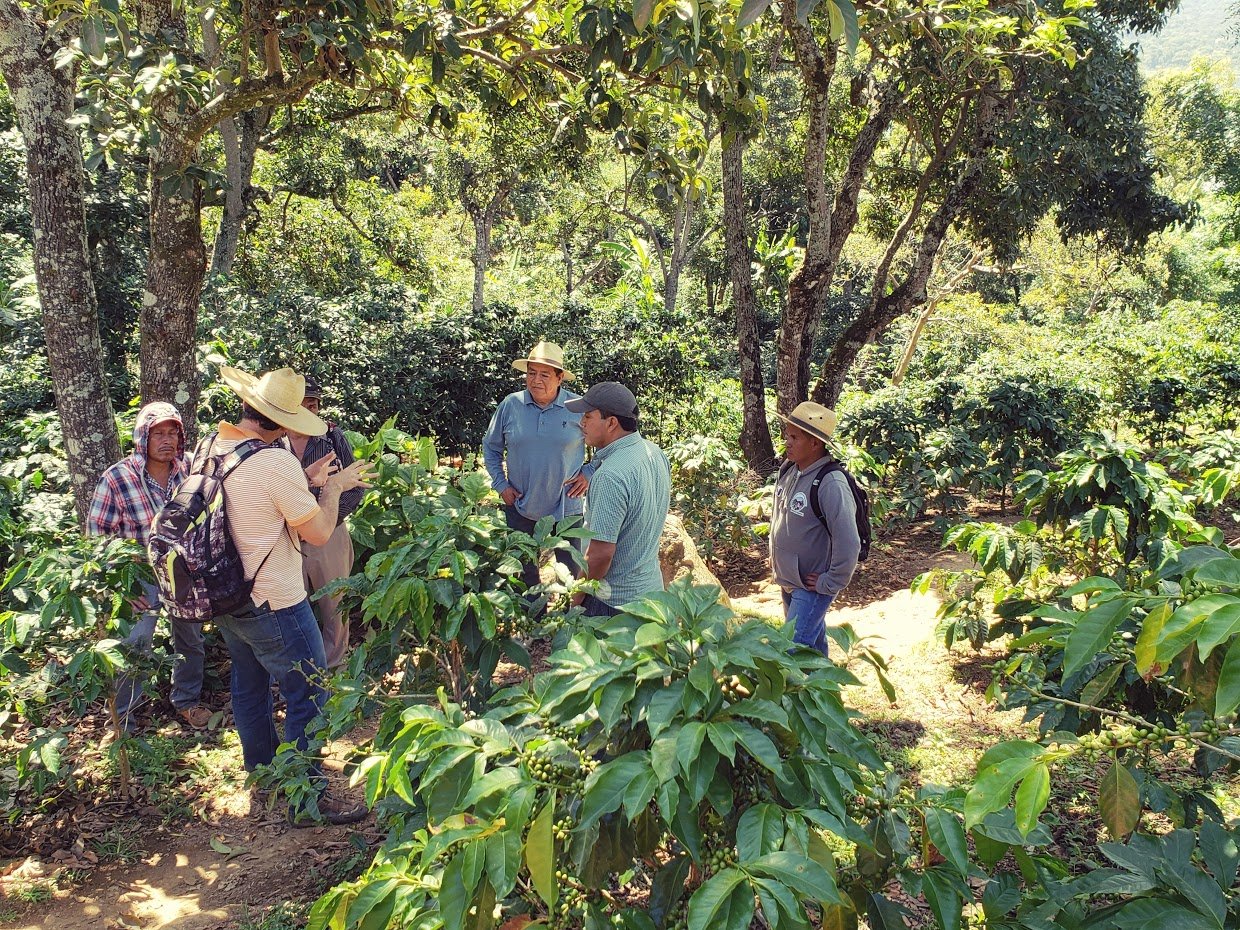 Farmers