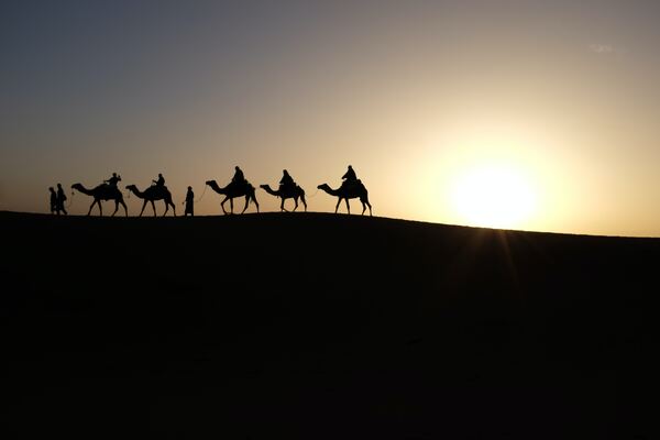 Camellos atravesando el desierto
