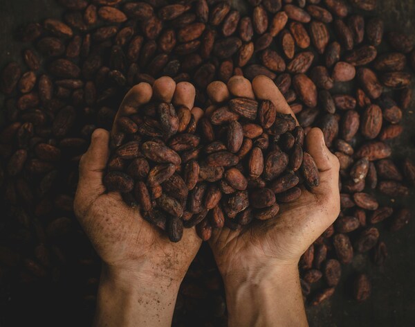 Cacao