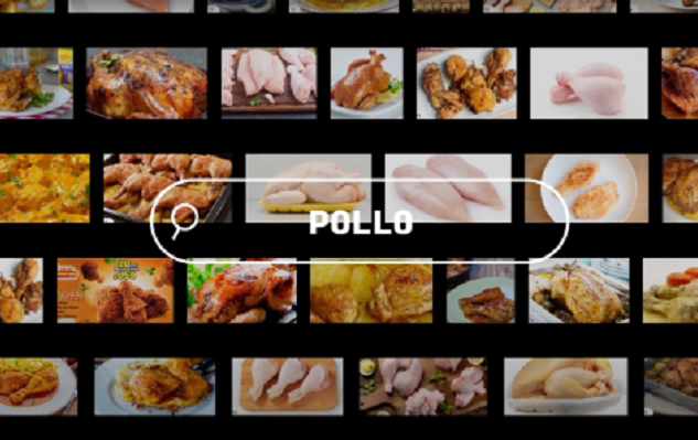 Pollo