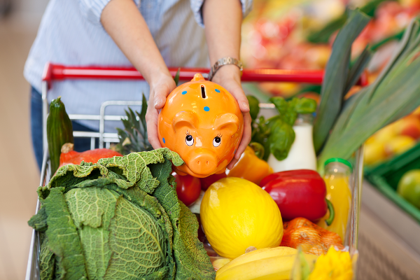 Seguridad Alimentaria