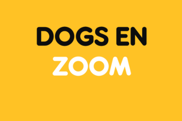 Dogs en zoom