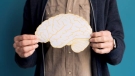 Cuidar la salud cerebral mejora la calidad de vida a largo plazo