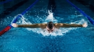Encuesta revela que 70% de los adultos seguirán los Juegos Olímpicos