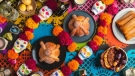 Celebra el Día de Muertos en estos lugares únicos