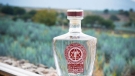  Tequila mexicano llega a la Premier League inglesa