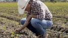 Los agricultores: protagonistas de la gestión hídrica