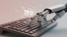 Nueva era del seo