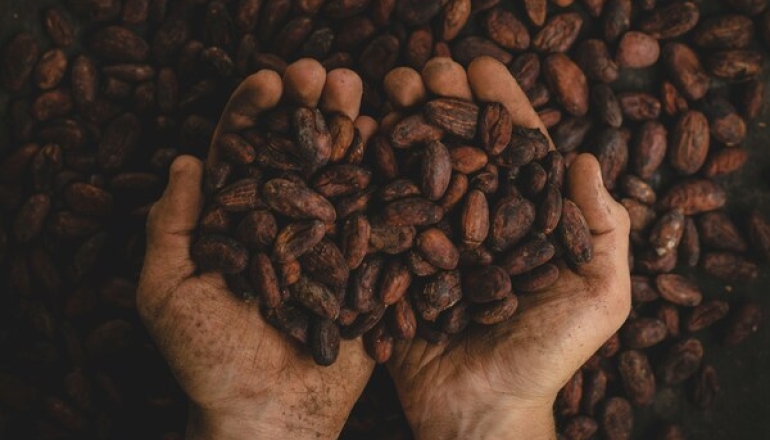 México rinde homenaje al cacao en la 6ª edición del Día Nacional del Chocolate