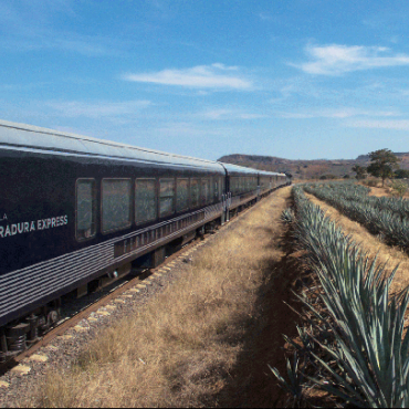 Tequila Herradura Express