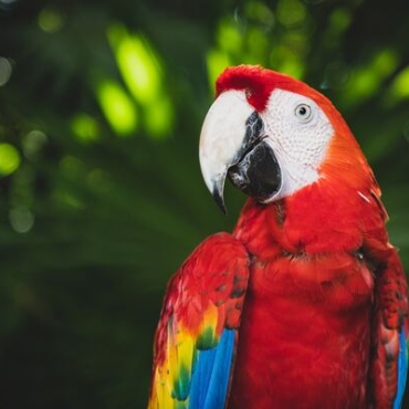 Xcaret lanza una edición especial de latas "X amor a México"