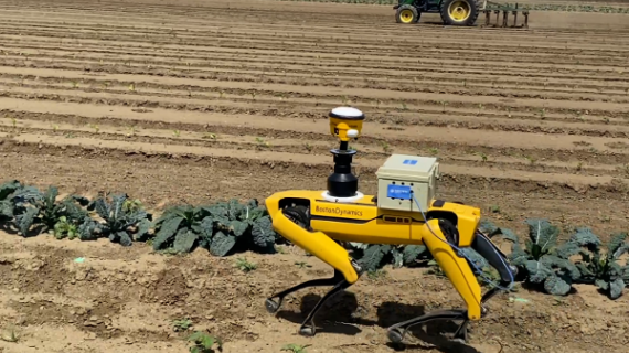 Robot agrícola