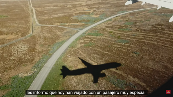 “Basado en vuelos reales”, una campaña de Iberia