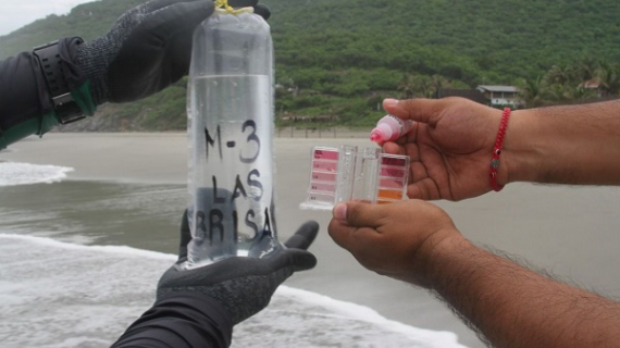 Playas del país son aptas para uso recreativo durante este verano: Cofepris