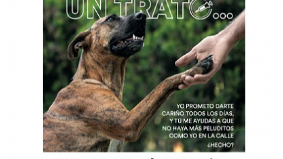 Petco continúa fomentando la esterilización de perros y gatos en México