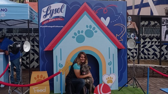 Lysol estrena producto para desinfectar entornos de mascotas