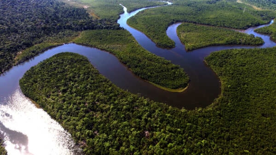 Primera empresa de economía emergente en lograr la Certificación de Integridad del Carbono Platino