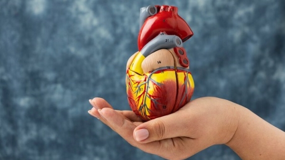 Enfermedades cardiovasculares siguen siendo principal causa de mortalidad a nivel global
