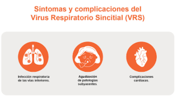  El tercer virus con mayor incidencia en México este invierno: VSR