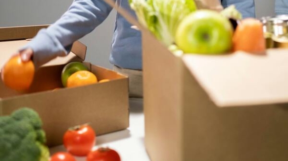 Inseguridad alimentaria: estrategias y acciones para reducirla en México