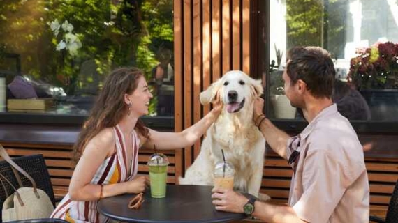 Restaurantes para el Día del Perro: [OpenTable] revela los mejores restaurantes con terrazas y espacios pet-friendly en México
