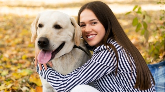 Más del 27% de los perros en México ya son ancianos 