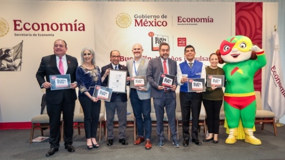 El Buen Fin 2025, XV años