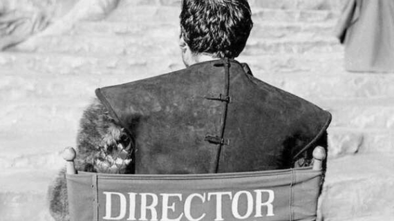 Hollywood tiene un secreto: todos estudiaron aquí