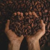 México rinde homenaje al cacao en la 6ª edición del Día Nacional del Chocolate