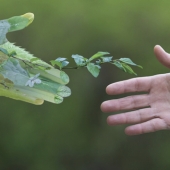 Compromiso con el planeta, reduciendo su huella de carbono en un 30%